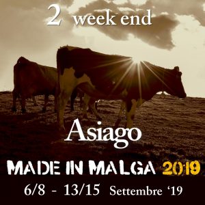 made-in-malga_2019